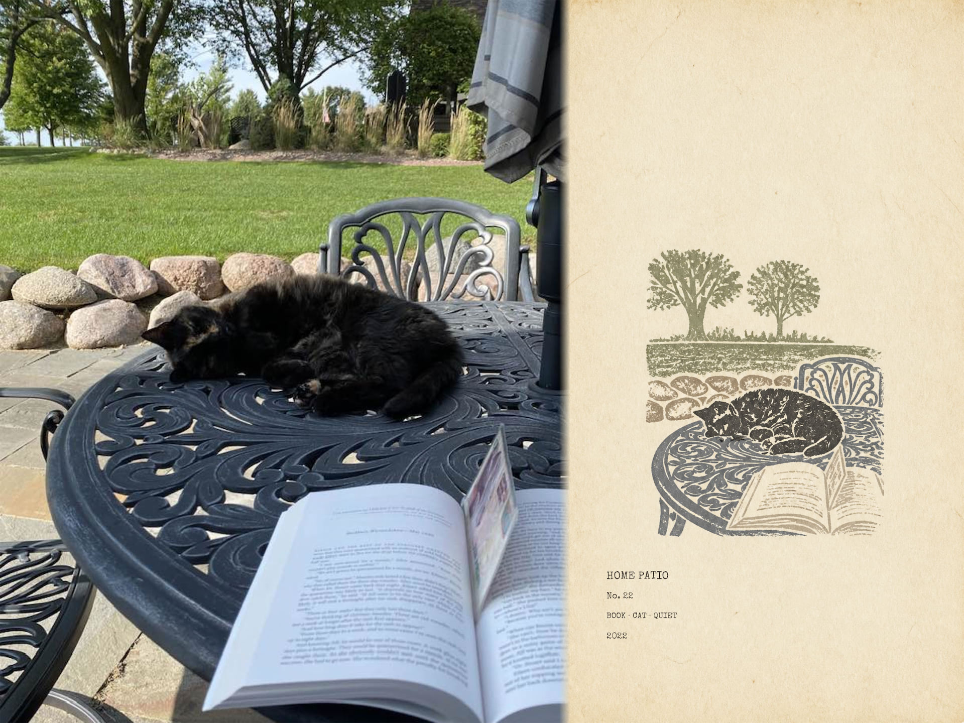 Memory: Patio Cat Reading